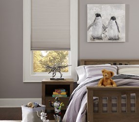 Bella View: Advantage Blackout Cellular Shades